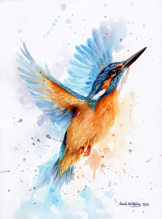 Kingfisher Watercolour