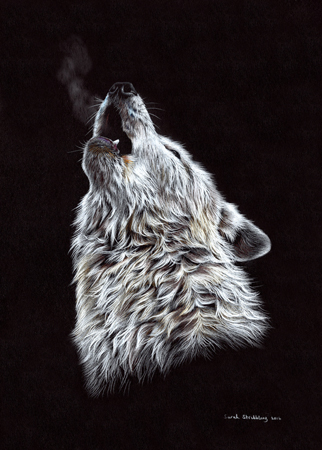 Wolf Howling Black and White