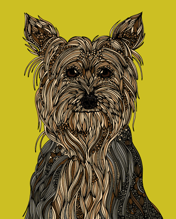 Valentina Dogs – Yorkshire Terrier