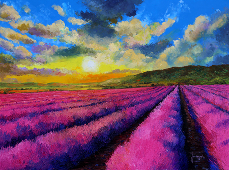 Sunset Over Lavender