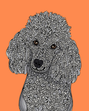 Valentina Dogs –  Poodle