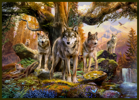 Wolf Family