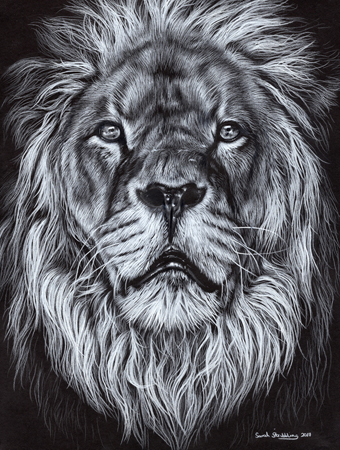 Monochrome Lion Portrait