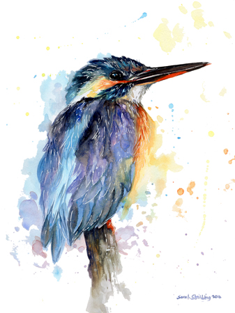 Sitting Kingfisher Watercolour