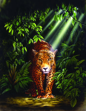 Jungle Leopard