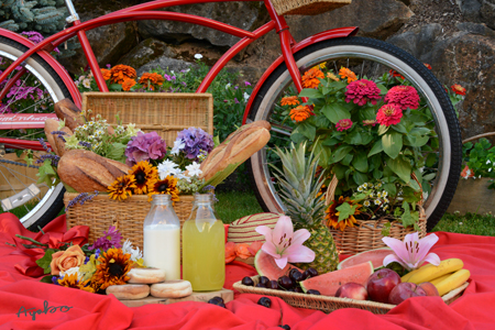 Red Bicycle Picnic