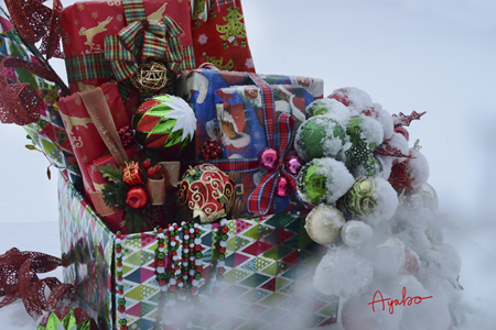 Christmas Presents in Snow