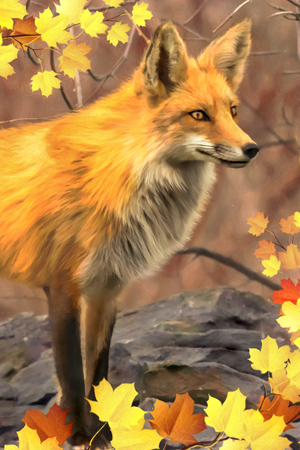 Fall Fox