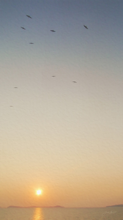 sunrise Naples with Birds