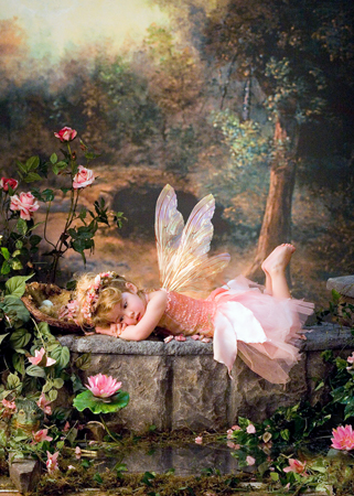 Sleeping Fairy