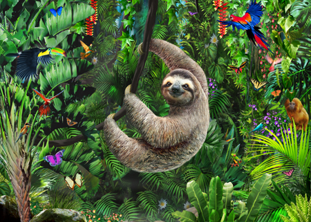 Sloth in Jungle