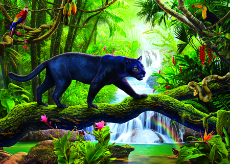 Panther in Jungle