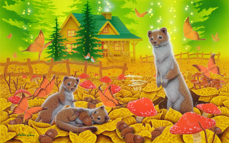 Fall Home Stoats