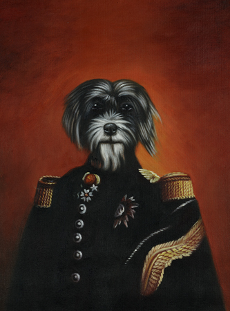 Wired Haired Dog In Uniform