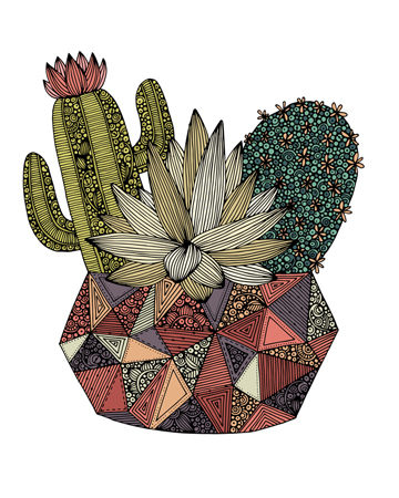 Cactus Pot