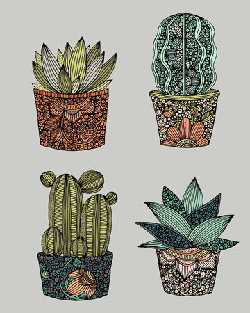 Little Succulents