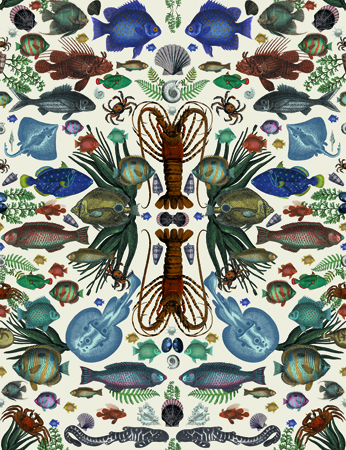 Crustacean Pattern