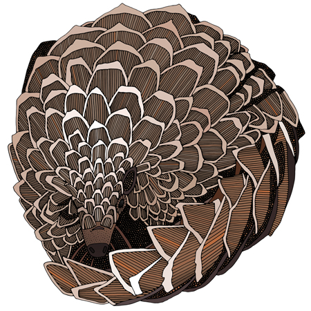 Pangolin