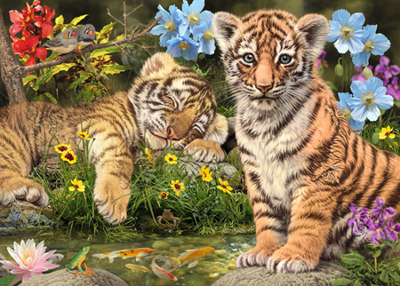 Tiger Cubs Hidden Objects