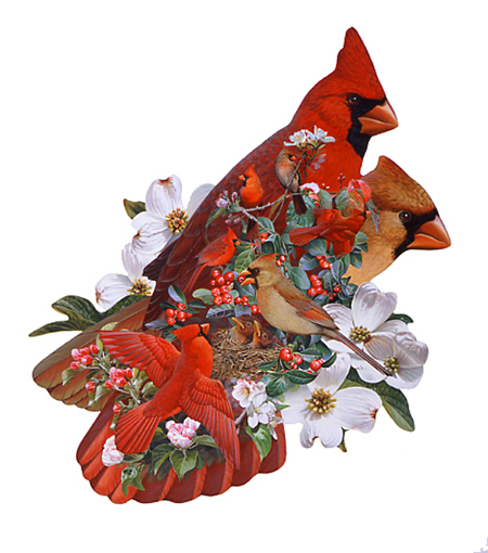 Cardinal Bird Puzzle Shape