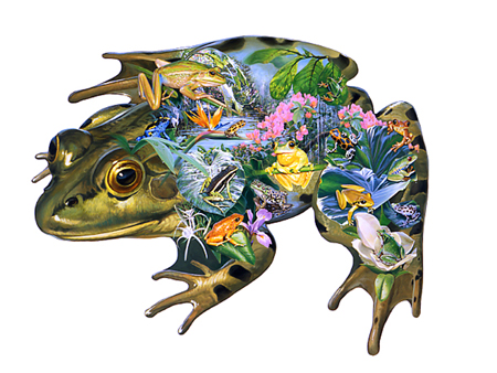 Frog Puzzle Shape