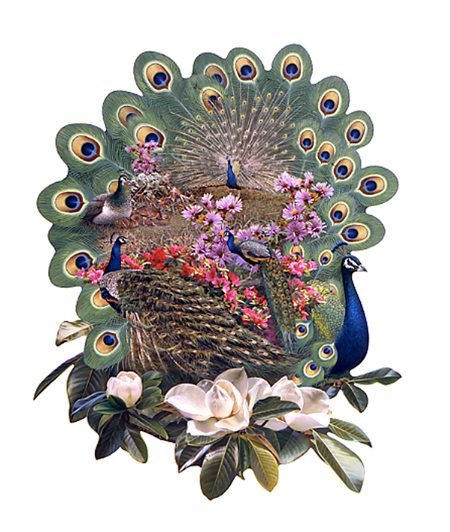 Peacock Puzzle Shape