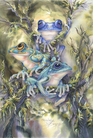 Tree Frogs