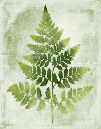 Botanical Green Fern 2