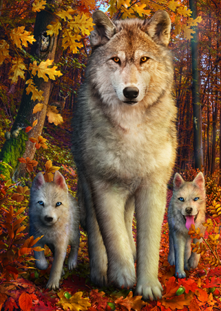 Wolf and Cubs