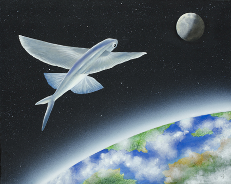 Flying Fish in Orbit