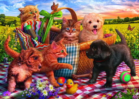 Pets Picnic