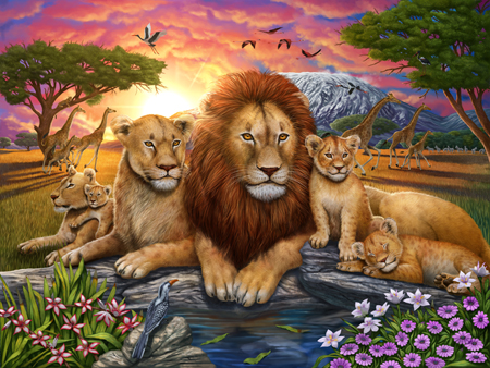 Lion Family