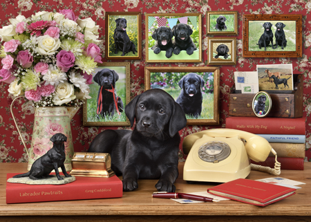 Black Labrador Desk