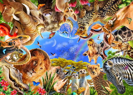 360 African Animals