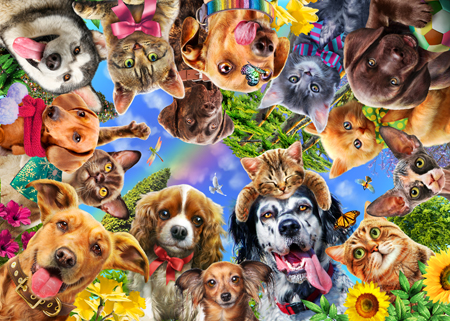 360 Cats and Dogs