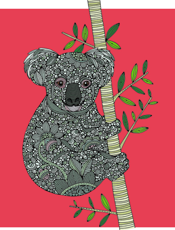 The Koala