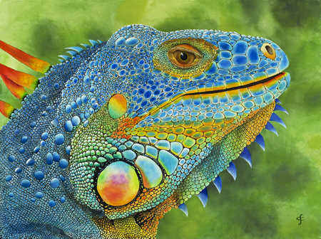 Bejewelled Lizard