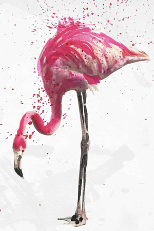 Flamingo Splash 2