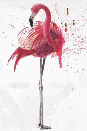 Flamingo Splash