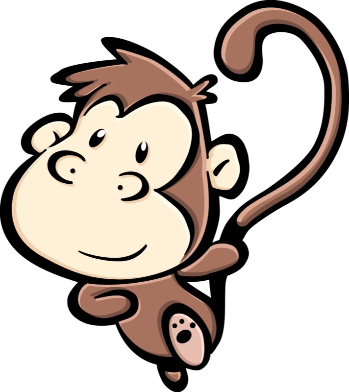 Monkey