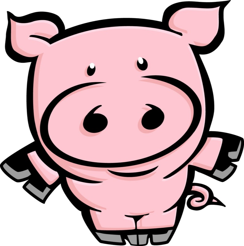 Pig