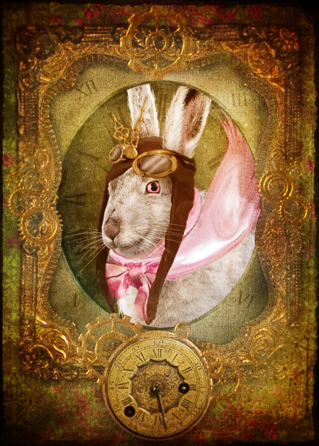 The White Rabbit