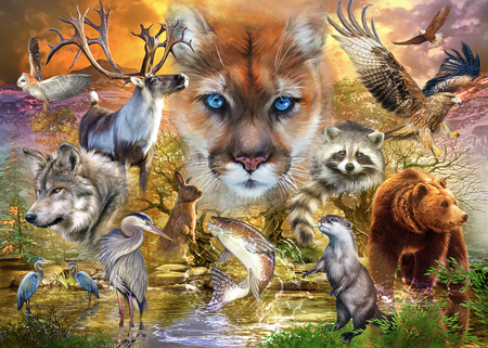 North American Mammals