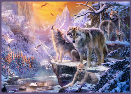 Wolves In Winter