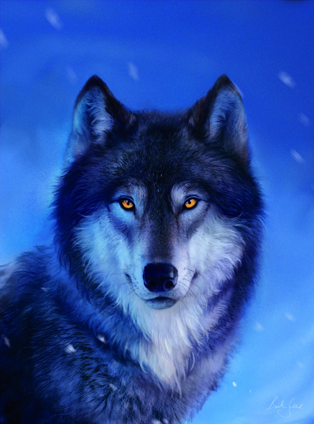 Snow Wolf Portrait