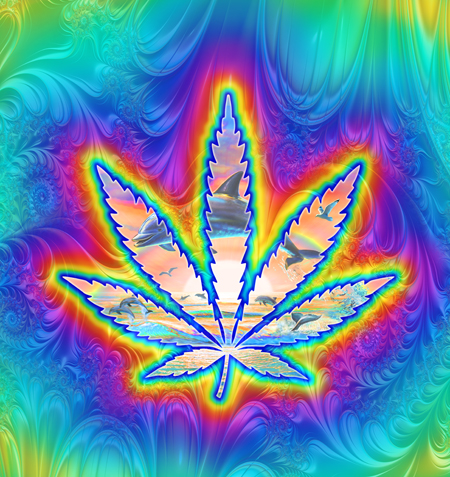 Cannabis Leaf Sunset Dolphin