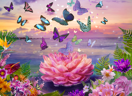 Moon Dream Sunrise Butterfly Lotus