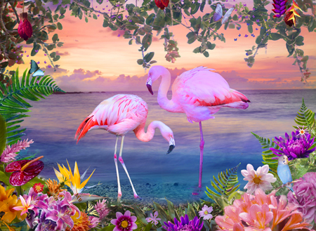 Moon Dream Sunrise Flamingo