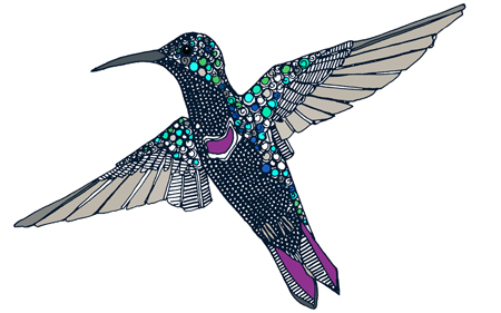 Hummingbird 1