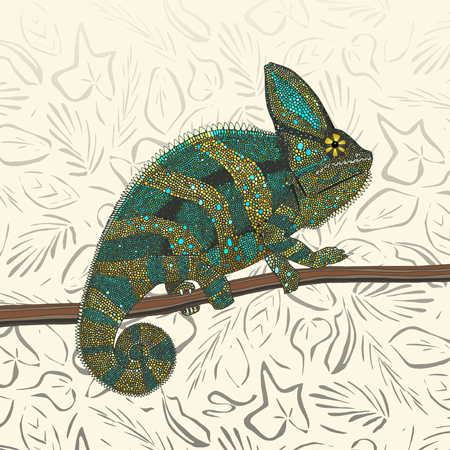 Veiled Chameleon